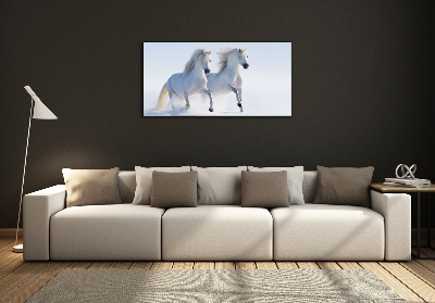 Foto-obraz szklany Dwa konie w śniegu