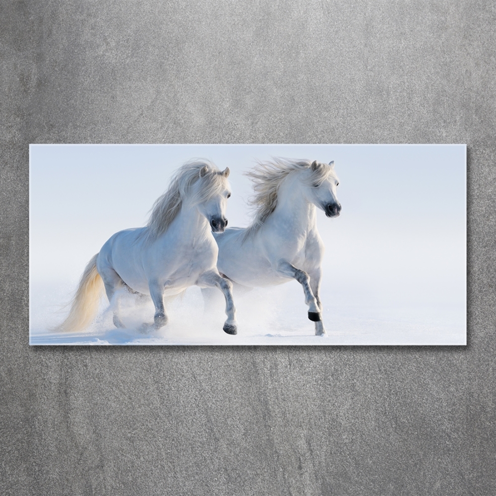 Foto-obraz szklany Dwa konie w śniegu