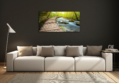 Foto obraz szklany Ścieżka nad rzeką