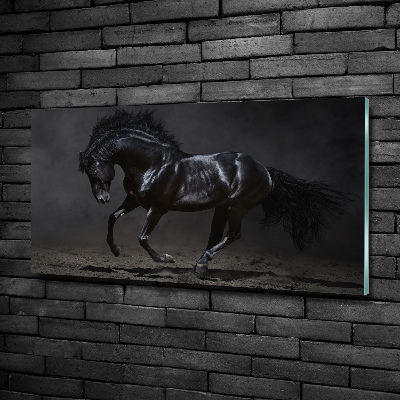 Foto-obraz szkło hartowane Czarny koń