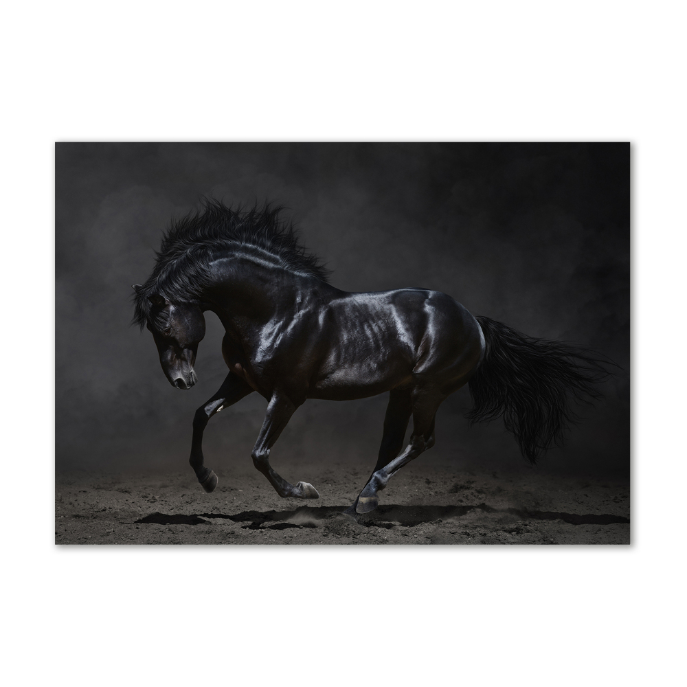 Foto-obraz szkło hartowane Czarny koń