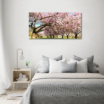 Foto obraz szkło hartowane Drzewa wiśni