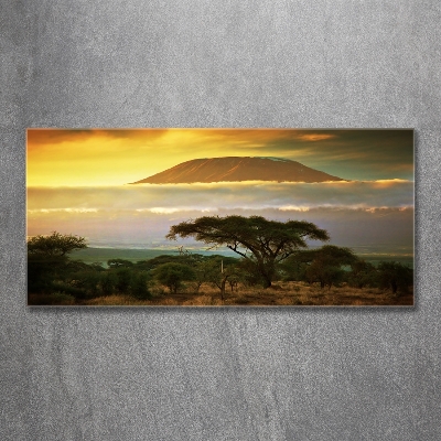 Foto obraz szklany Kilimandżaro Kenia