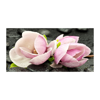 Foto obraz szklany Magnolia kamień zen