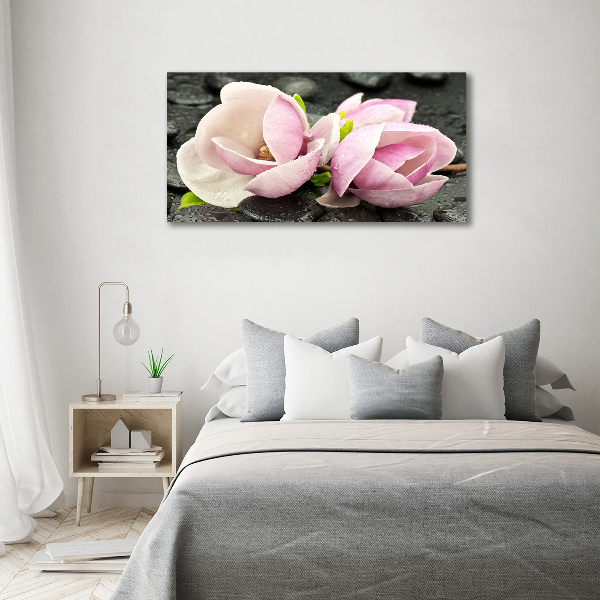 Foto obraz szklany Magnolia kamień zen