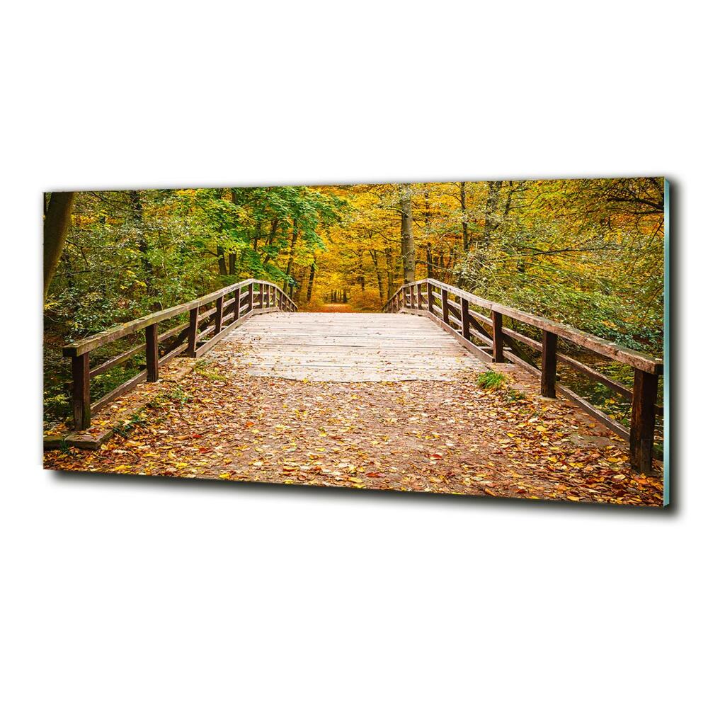 Foto obraz szklany Most w lesie jesień
