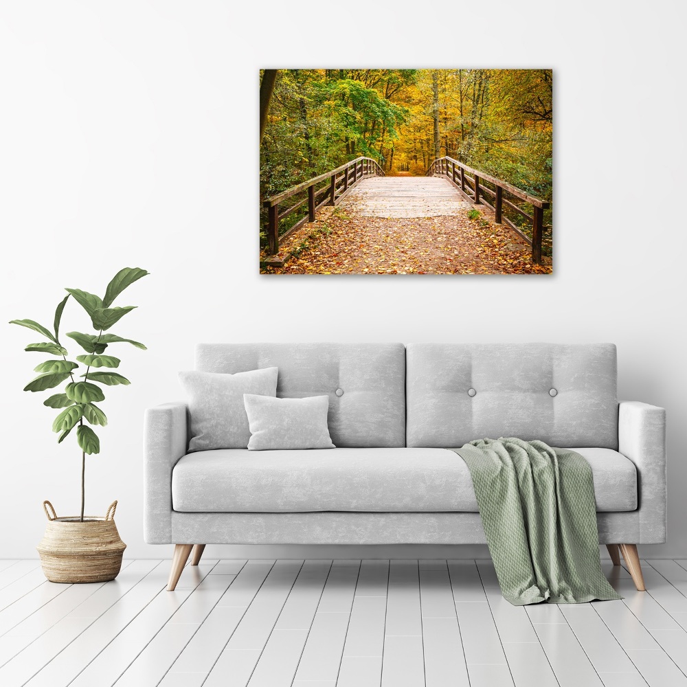 Foto obraz szklany Most w lesie jesień