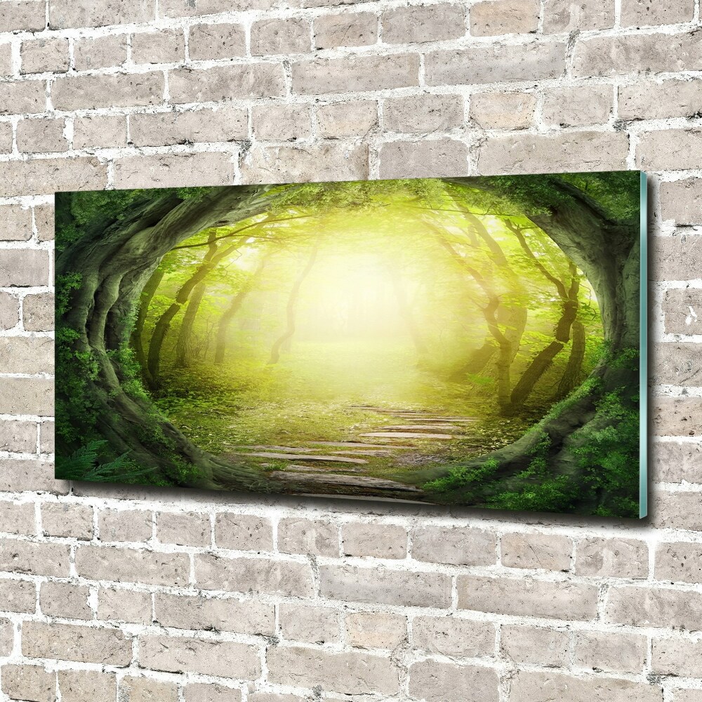 Foto obraz szkło hartowane Tunel z drzew