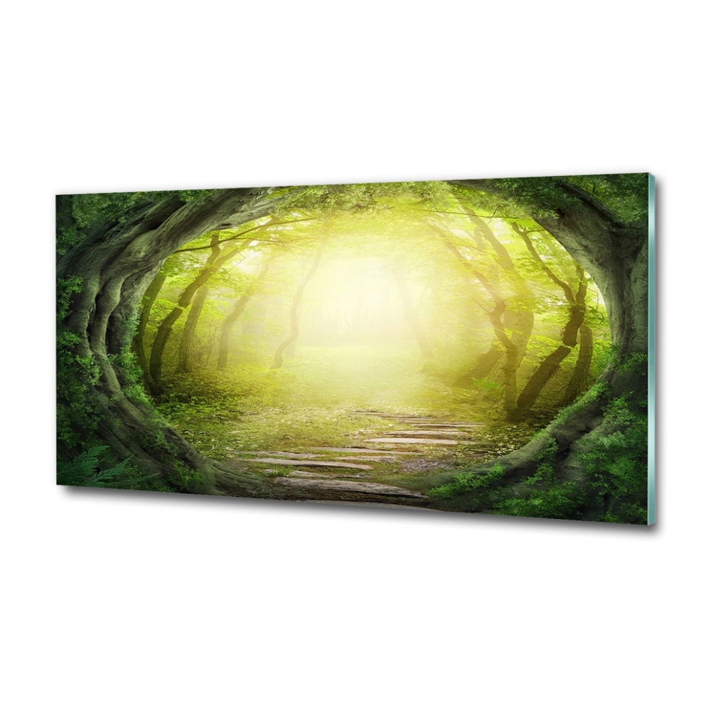 Foto obraz szkło hartowane Tunel z drzew