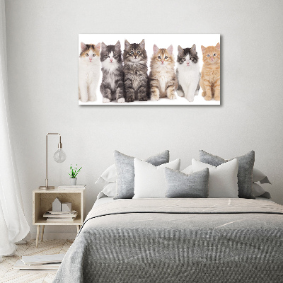 Foto-obraz szkło hartowane Sześć kotów