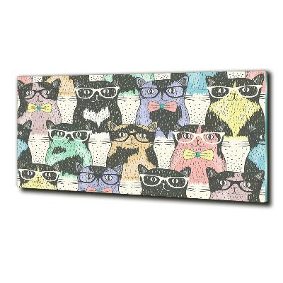 Foto-obraz szklany Koty w okularach