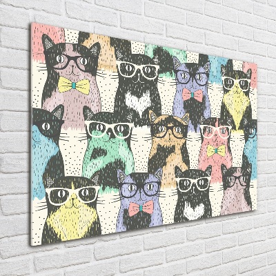 Foto-obraz szklany Koty w okularach