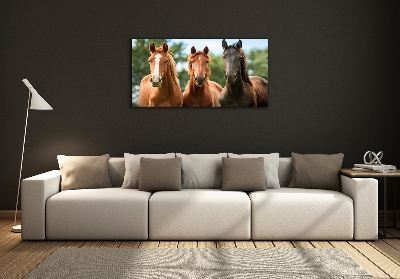 Foto-obraz szkło hartowane Trzy konie