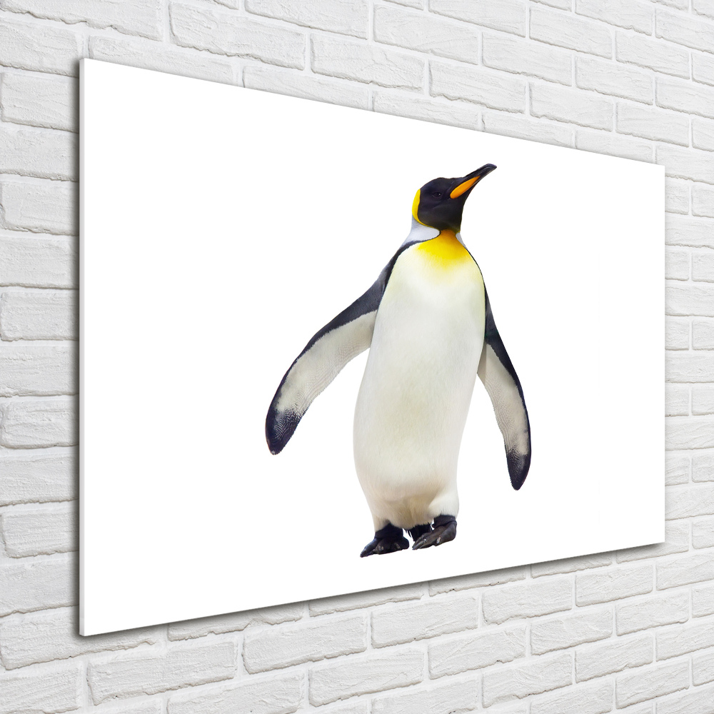 Fotoobraz na ścianę szkło hartowane Pingwin