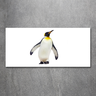 Fotoobraz na ścianę szkło hartowane Pingwin