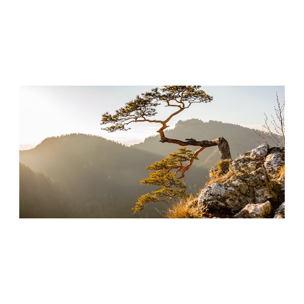 Foto obraz szklany Sokolica Pieniny