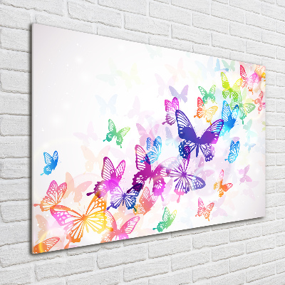 Fotoobraz na ścianę szklany Kolorowe motyle