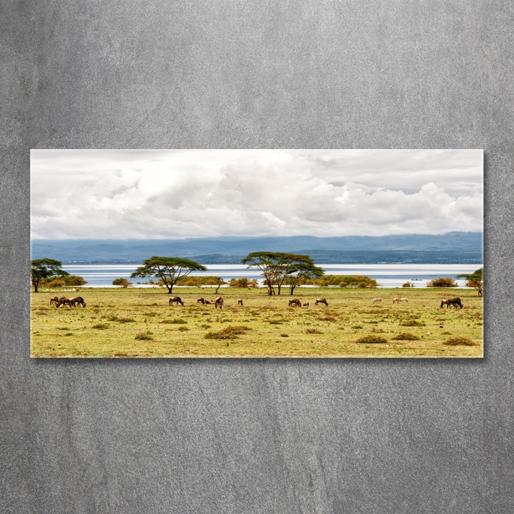 Foto obraz szklany Jezioro Naivasha