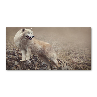 Foto-obraz szklany Biały wilk na skale