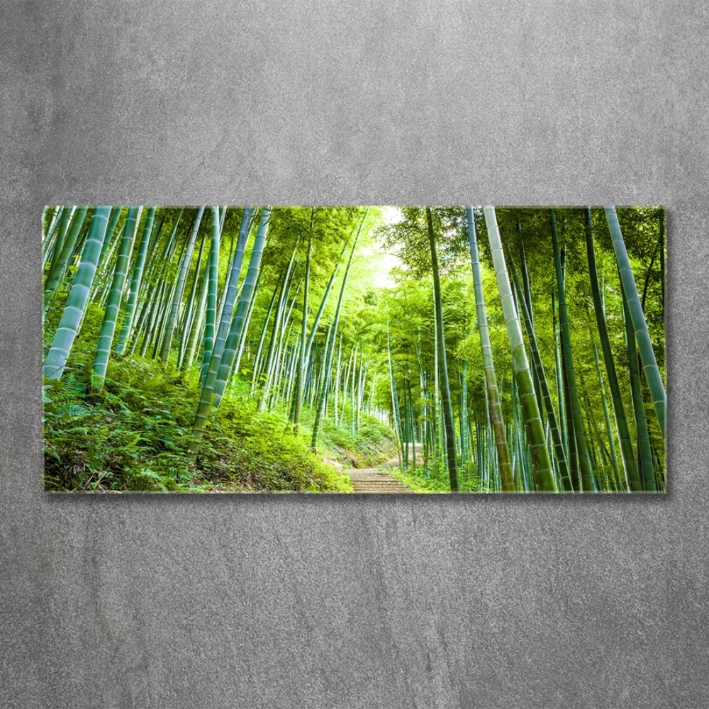 Foto obraz szkło hartowane Las bambusowy