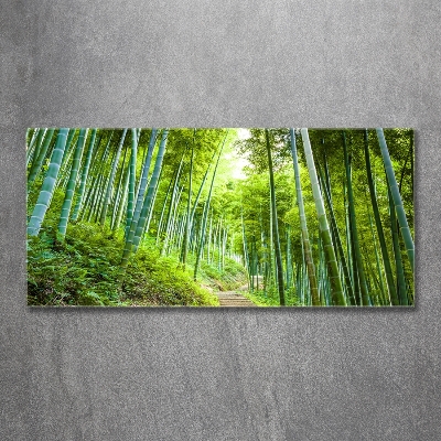 Foto obraz szkło hartowane Las bambusowy