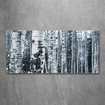 Foto obraz szkło hartowane Drzewa brzozy