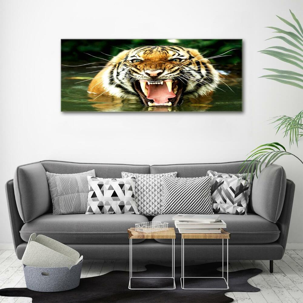 Foto-obraz szkło hartowane Ryczący tygrys