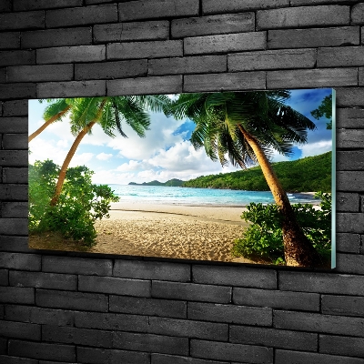 Foto obraz szkło hartowane Palmy na plaży