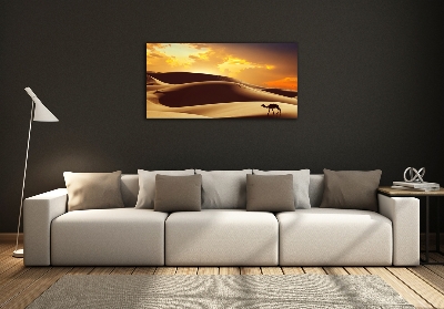 Fotoobraz na ścianę szklany Wielbłąd Sahara