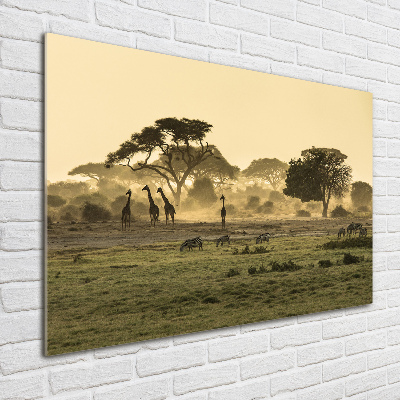 Foto obraz szklany Żyrafy na sawannie