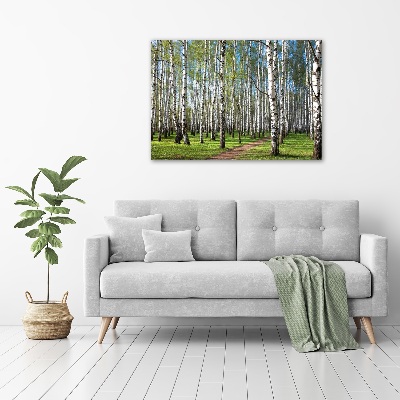 Foto obraz szkło hartowane Brzozowy las