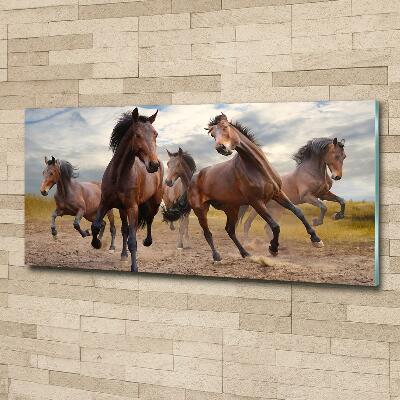 Foto-obraz szkło hartowane Pięć koni