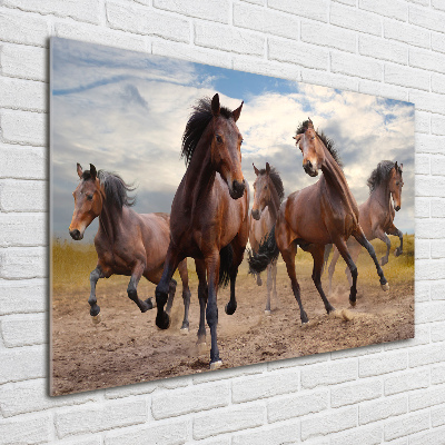 Foto-obraz szkło hartowane Pięć koni