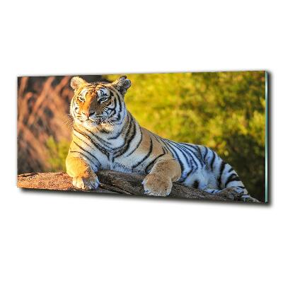Fotoobraz na ścianę szklany Portret tygrysa