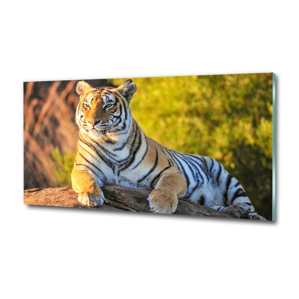 Fotoobraz na ścianę szklany Portret tygrysa