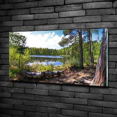 Foto obraz szkło hartowane Leśna panorama