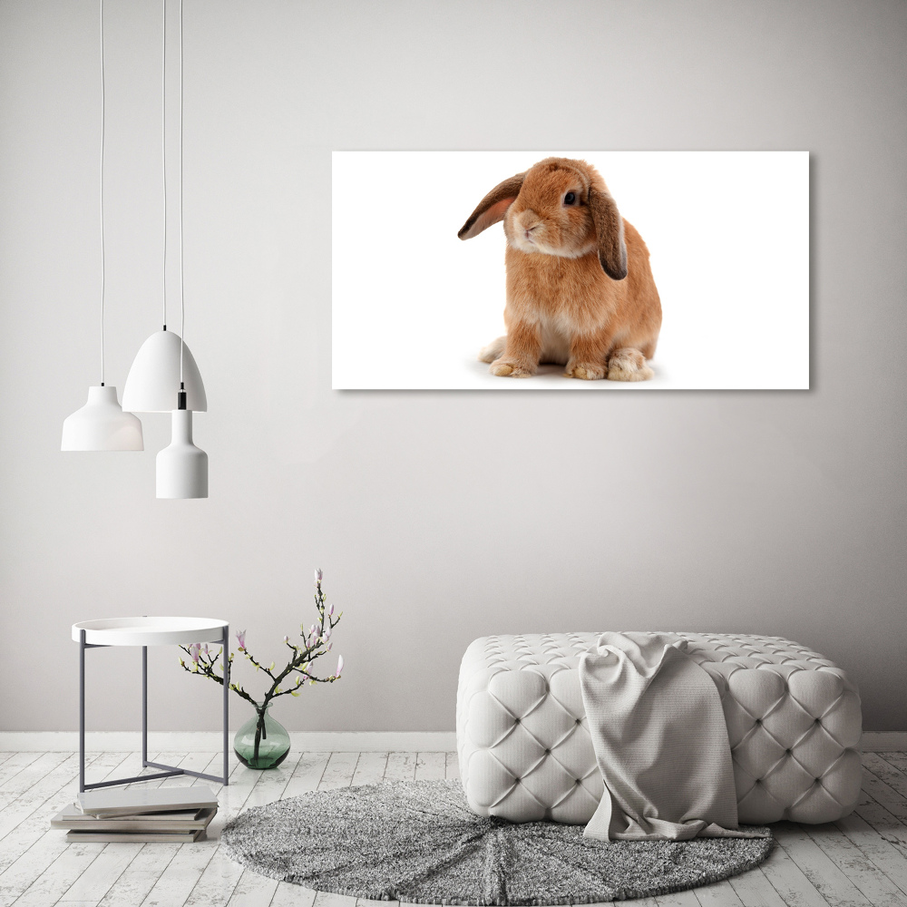 Foto-obraz szkło hartowane Rudy królik