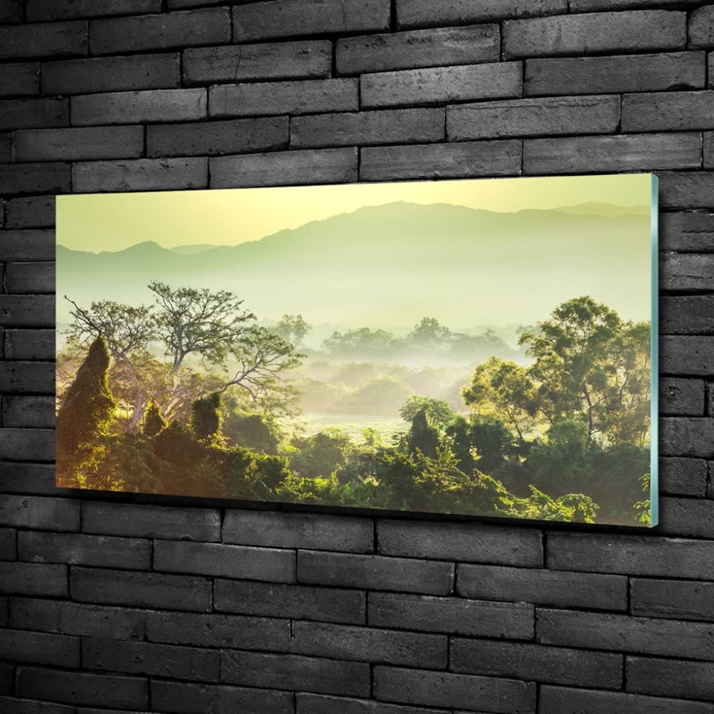 Fotoobraz na ścianę szkło hartowane Dżungla