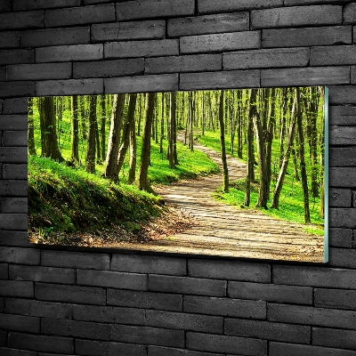Fotoobraz na ścianę szklany Ścieżka w lesie