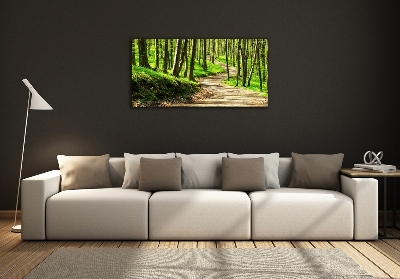 Fotoobraz na ścianę szklany Ścieżka w lesie