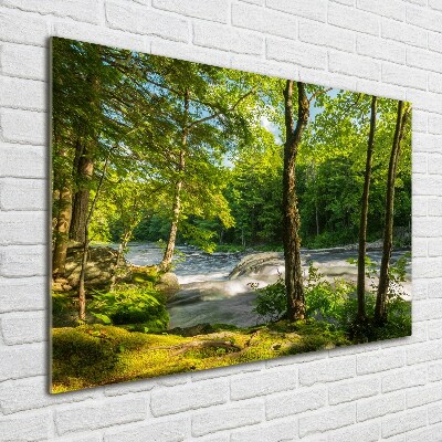 Foto obraz szkło hartowane Rzeka w lesie