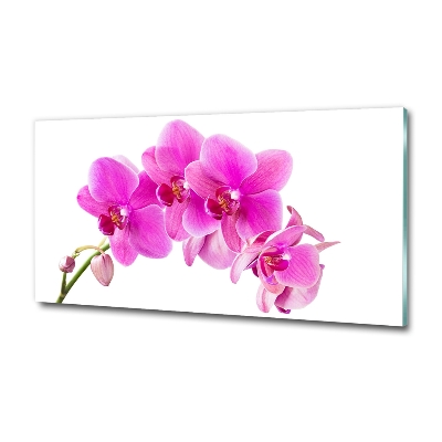 Fotoobraz na ścianę szklany Różowa orchidea