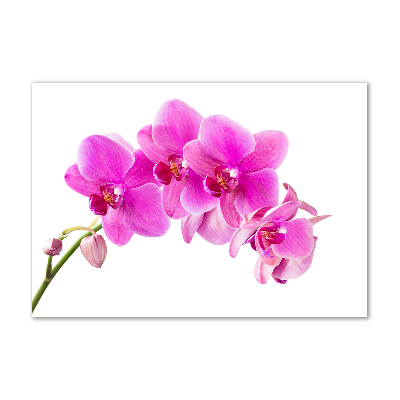 Fotoobraz na ścianę szklany Różowa orchidea