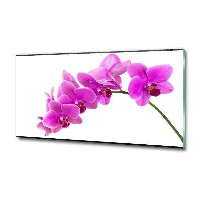 Fotoobraz na ścianę szklany Różowa orchidea