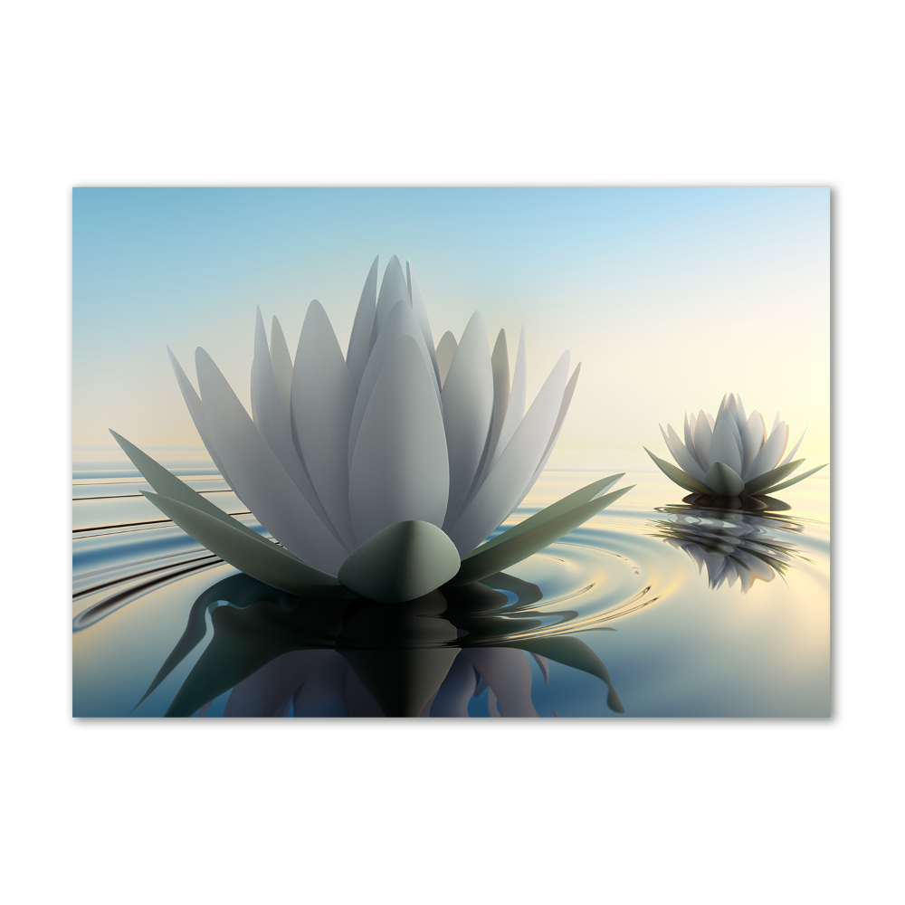Foto obraz szkło hartowane Kwiat lotosu