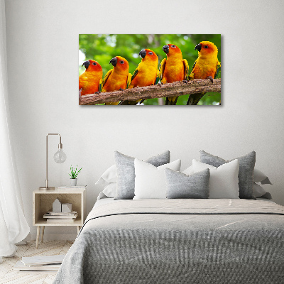 Foto-obraz szklany Papugi na gałęzi