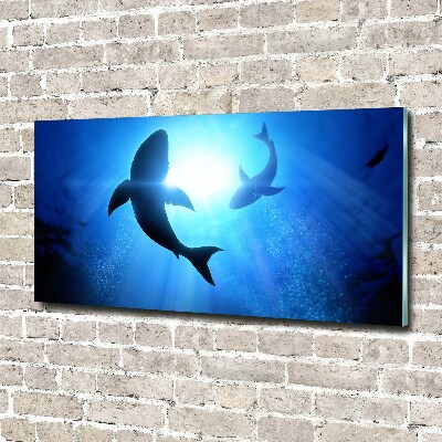 Foto-obraz szkło hartowane Dwa rekiny