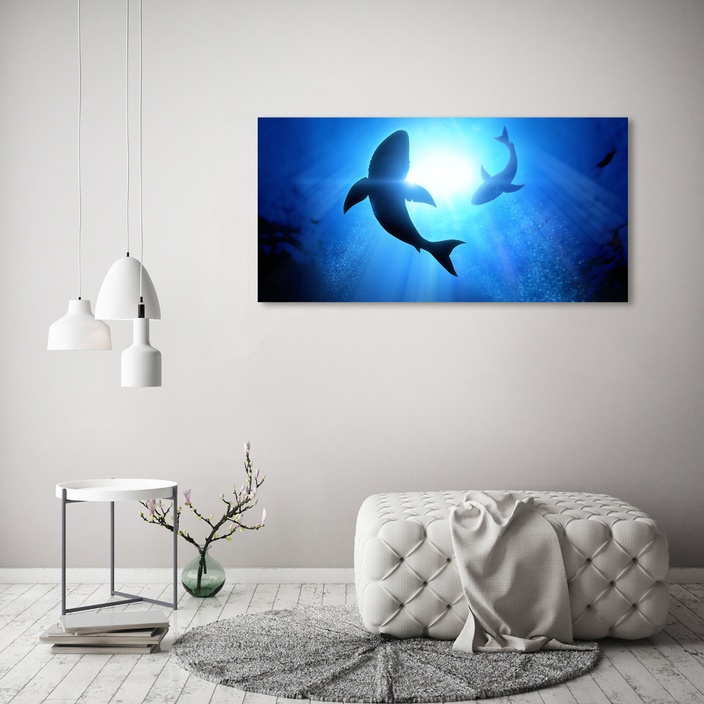 Foto-obraz szkło hartowane Dwa rekiny