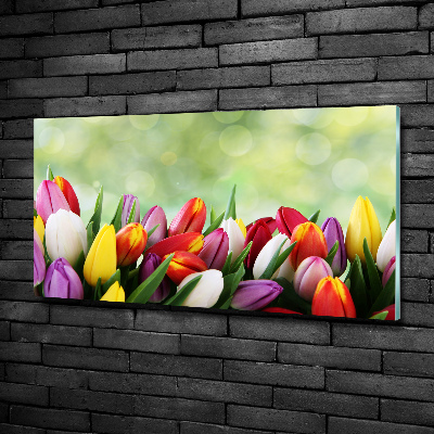 Foto obraz szklany Kolorowe tulipany