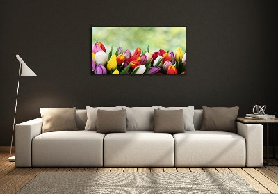 Foto obraz szklany Kolorowe tulipany